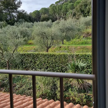 Tenuta Fontespadini