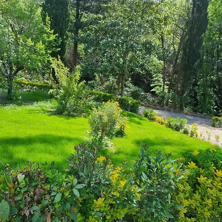 Tenuta Fontespadini Riparbella