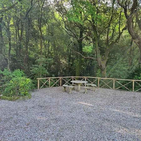 Tenuta Fontespadini *